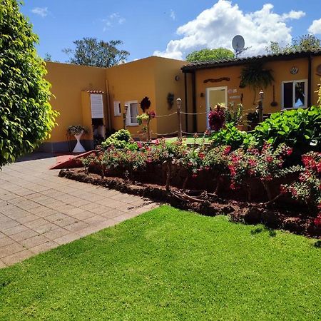 Finca El Trazo Tacoronte Kültér fotó