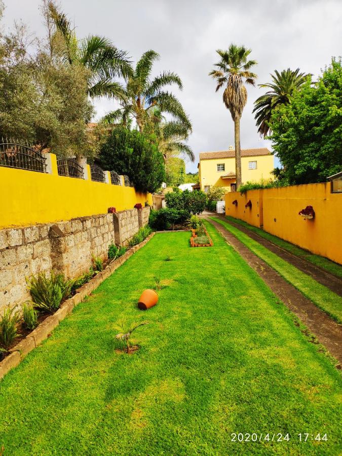 Finca El Trazo Tacoronte Kültér fotó