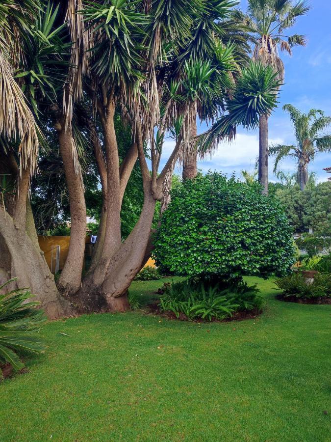 Finca El Trazo Tacoronte Kültér fotó